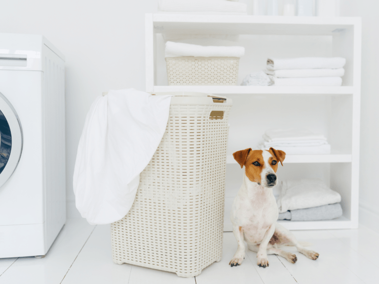 Wasruimte met witte handdoeken, witte wasmachine en witte waskorf. Daarnaast is er een hond zichtbaar.