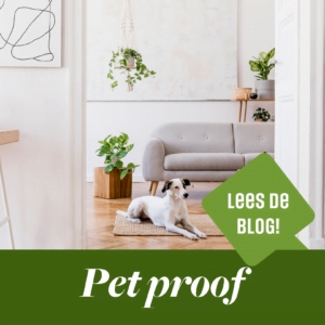 Pet-proof huis