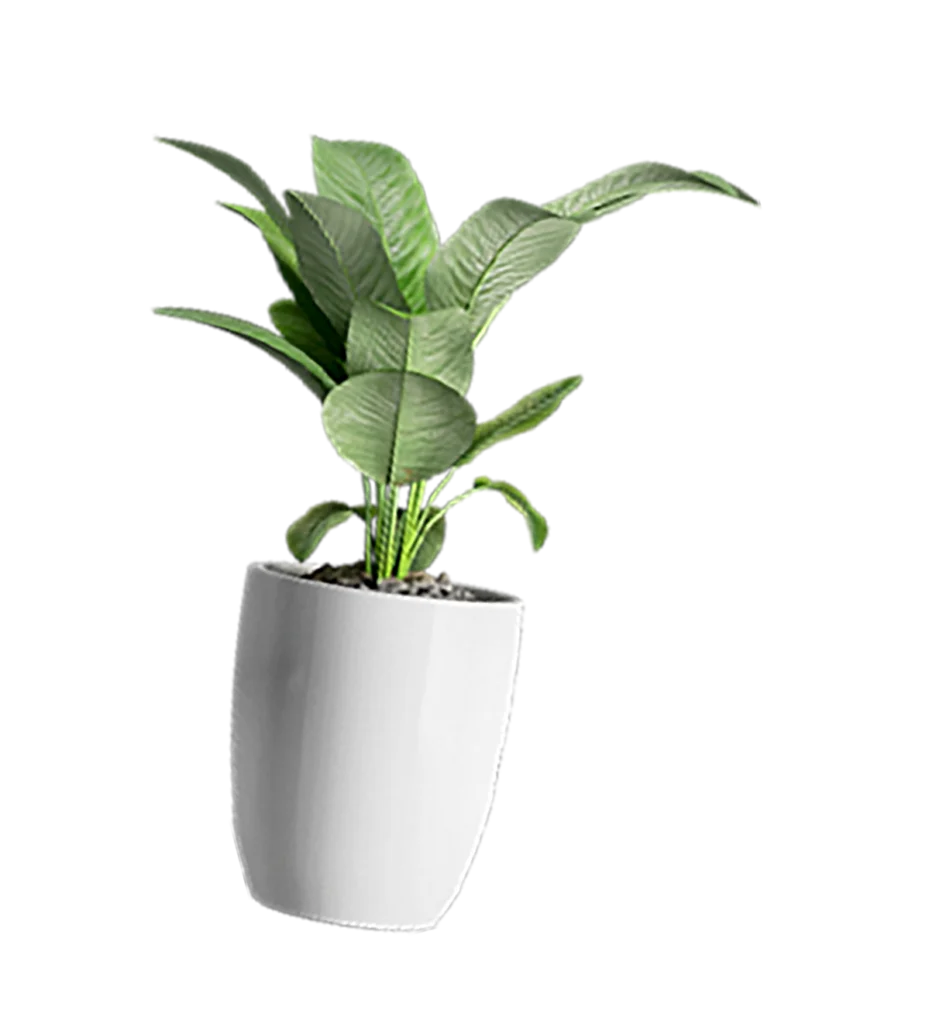 Plant groene bladeren