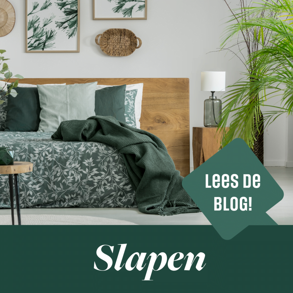 slaapkamer met een budget