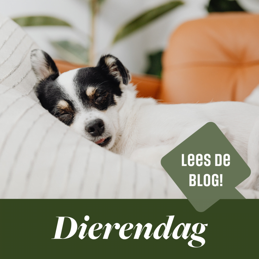 dierendag