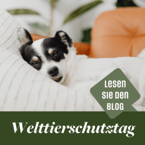 welttierschutztag