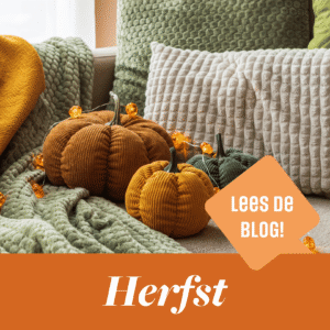 Close-up van fluwelen en gebreide sierkussens in Herfstkleuren met stoffen decoratiepompioenen op een bank.